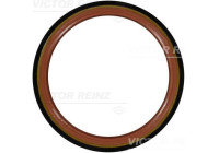 Shaft Seal, crankshaft 81-34456-00 Viktor Reinz