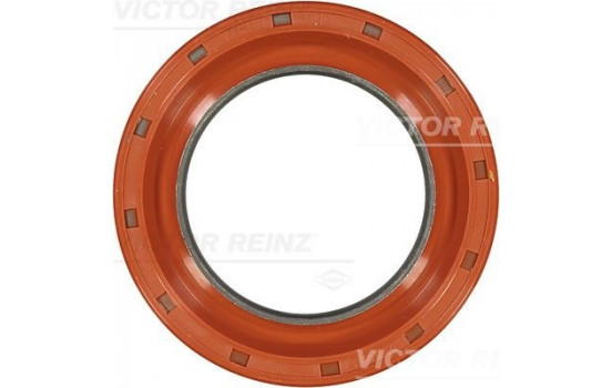 Shaft Seal, crankshaft 81-37601-00 Viktor Reinz