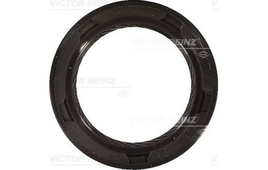 Shaft Seal, crankshaft 81-53216-00 Viktor Reinz