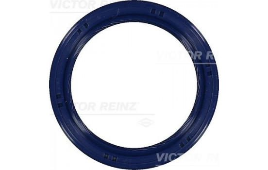 Shaft Seal, crankshaft 81-53699-00 Viktor Reinz