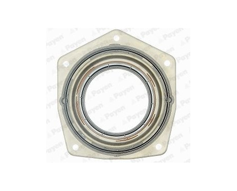 Shaft Seal, crankshaft LK5000 Payen