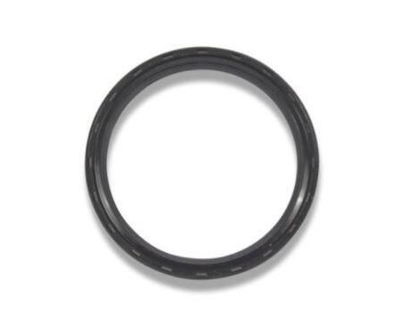Shaft Seal, crankshaft NA5298 Payen