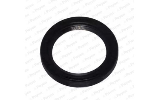 Shaft Seal, crankshaft NA5306 Payen