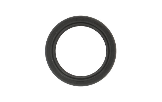 Shaft Seal, crankshaft NC065 Payen