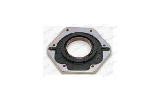 Shaft Seal, crankshaft NF885 Payen