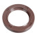 Shaft Seal, crankshaft