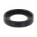 Shaft Seal, crankshaft