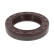 Shaft Seal, crankshaft, Thumbnail 2