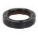 Shaft Seal, crankshaft
