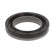 Shaft Seal, crankshaft