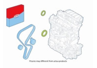 Shaft Seal Set, engine