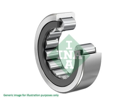 Bearing, differential