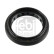 Oil seal, differential 185616 FEBI