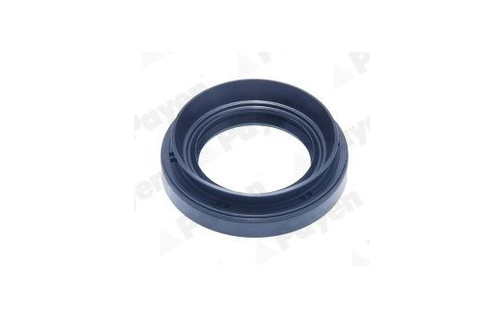 Oil seal, differential NJ452 Payen