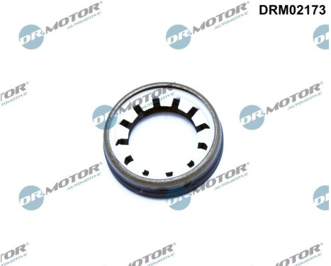 Oil seal, differential
