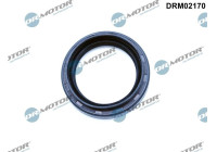 Oil seal, differential