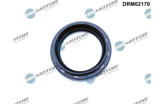 Oil seal, differential