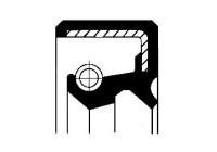 Oil seal, differential