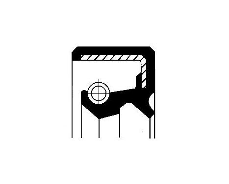 Oil seal, differential