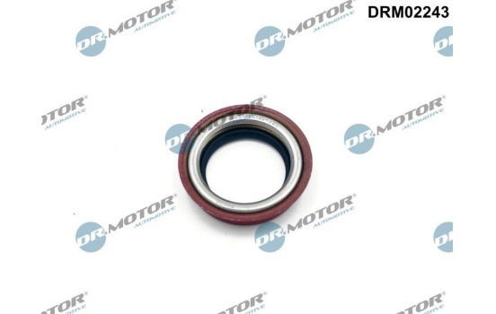 Oil seal, differential