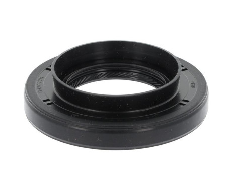 Oil seal, differential