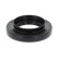 Oil seal, differential
