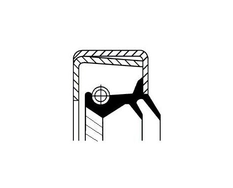 Oil seal, differential