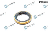 Oil seal, differential