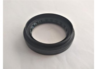 Oil seal, differential