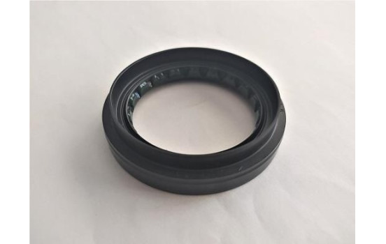 Oil seal, differential