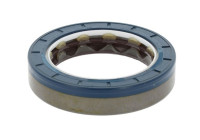 Oil seal, differential