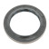 Oil seal, differential