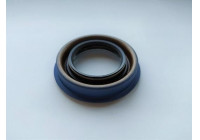 Oil seal, differential