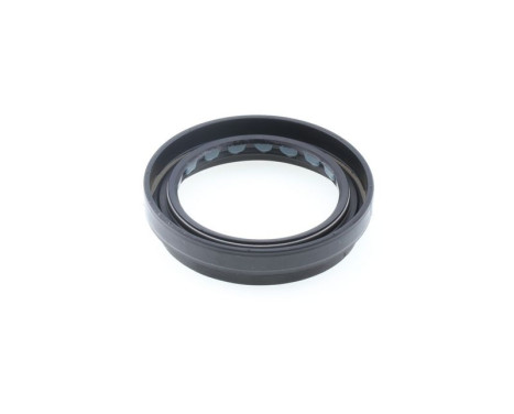 Oil seal, differential