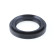 Oil seal, differential