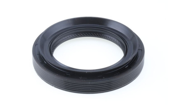 Oil seal, differential