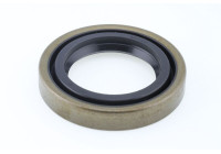 Oil seal, differential