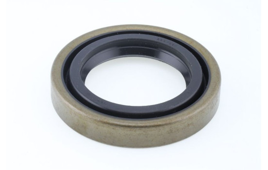 Oil seal, differential