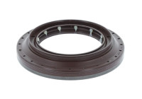 Oil seal, differential