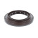 Oil seal, differential