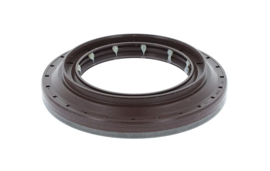 Oil seal, differential
