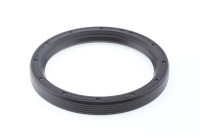 Oil seal, differential
