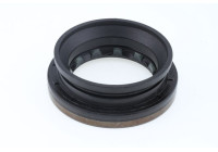 Oil seal, differential