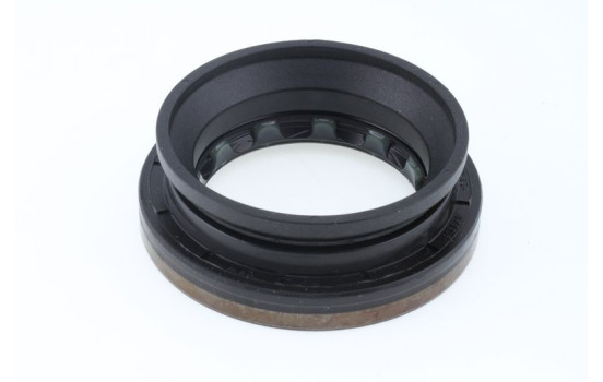 Oil seal, differential