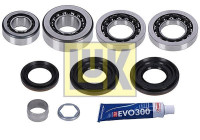 Repair Kit, differential LuK GearBOX