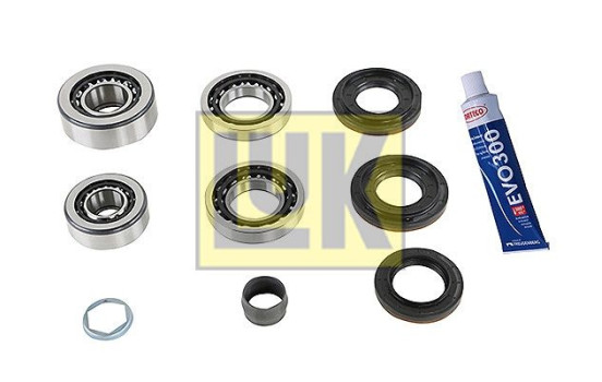 Repair kit, differential