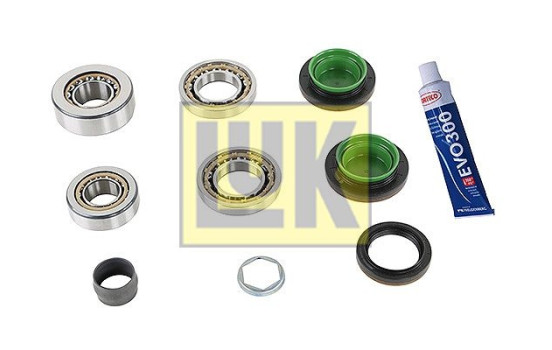 Repair kit, differential