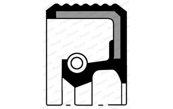 Seal, differential NA5490 Payen