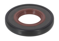 Seal, differential NA5490 Payen