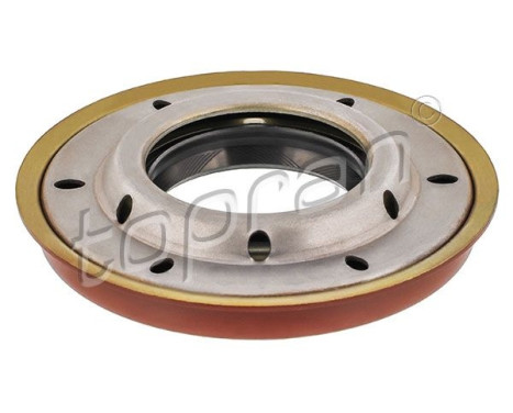 Seal, differential